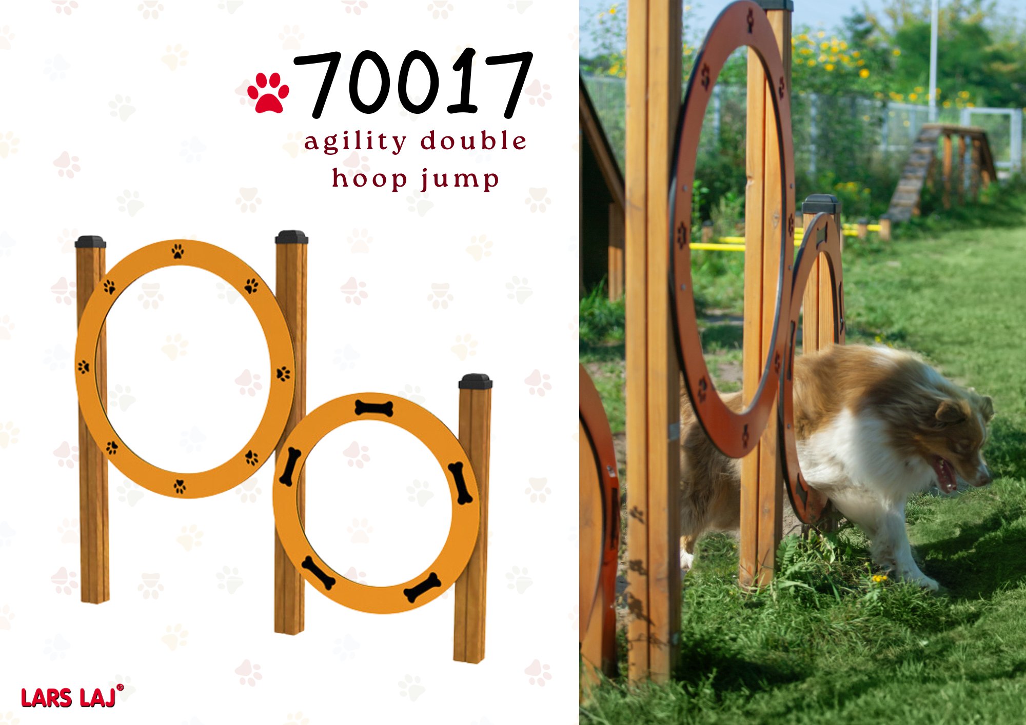 agility double hoop