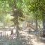 Barn leker på Dreamworld Eco Lekeverandaen Lekeapparat i en skogkledd lekeplass.