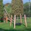 Lekeplass med Fugleredehuske Nature Robinia Edderkopp mellom trær.