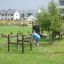 Barn som leker på Nettbro-lekeapparat i en grønn park.